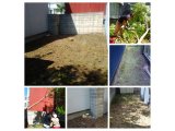 札幌市中央区にて木の伐採及び草刈り 便利屋タクミ
