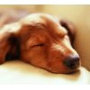 日付変わって今日は９時から営業いたします♪