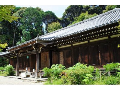 NO JOURNEY NO LIFE 第5弾 #50 浄瑠璃寺