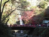 『箕面大滝』 の紅葉！