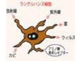 界面活性はお肌に負担をかけてるってホント?