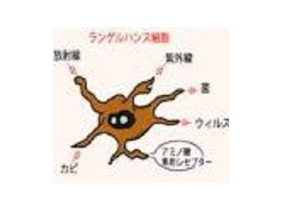 界面活性はお肌に負担をかけてるってホント?