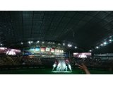 再び観戦