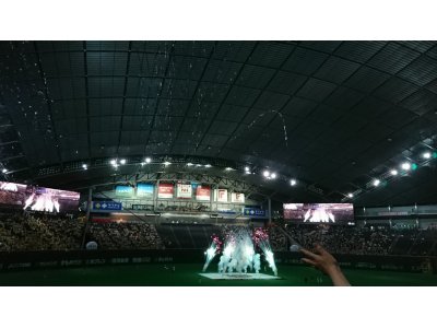 再び観戦