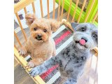 ハルちゃん&カンタくん
