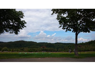 久しぶりの再会