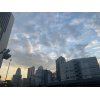 渋谷駅徒歩30秒！22時半まで受付♪むちうち交通事故治療院/整骨院/代々木/原宿/中目黒/恵比寿