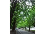 あと20日