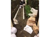 玄関アプローチ改修工事③