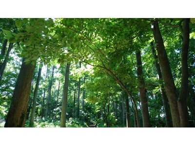 23日(月)現在ご予約状況