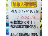 青春18きっぷ 激安販売中です!