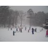 奥日光湯元温泉スキー場に待望の雪が。