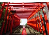 霊山に挑み豊穣を祈る
