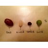 四色豆パンのお豆
