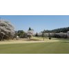 唐沢ゴルフ倶楽部三好コースの桜も少し散り始めました！！
