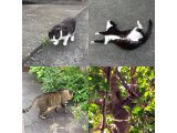 おはようございます。きょうも明るい笑顔で頑張りましょう。