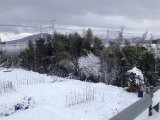 センター試験&雪