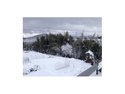 センター試験＆雪