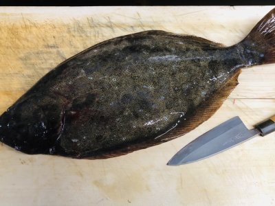 気合いれて、換気扇掃除してまーす