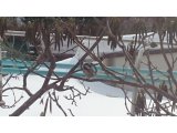 ご予約状況