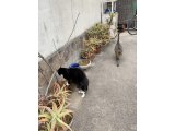 おはようございます。光療術院のみぃこ&あずきです。