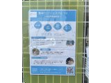 6月に入りました