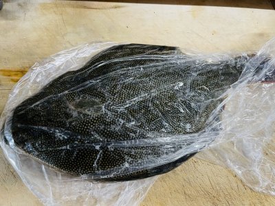 ゴールデンウィーク中もしっかり仕入れました