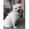 本日のお客様♪