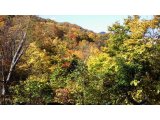 来週でオープン1ヶ月