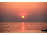 松江海岸の夕日