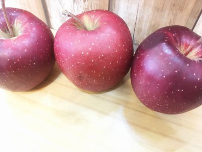 差し入れありがとうございました(^^)