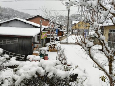 一面雪が積もりました