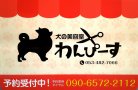 犬の美容室わんぴーす