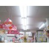LED蛍光灯になりました！
