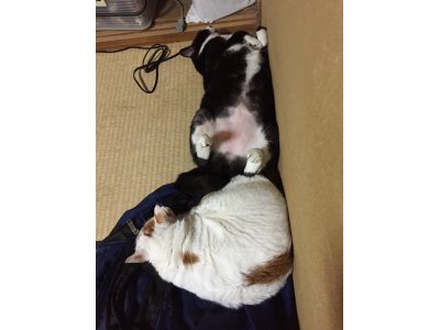 おはようございます。今週も元気な笑顔で頑張りましょう。