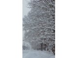 12月もあとわずか