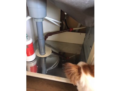 食器洗浄機撤去②