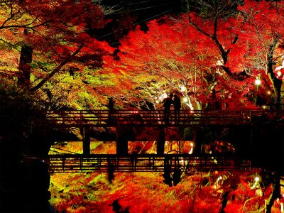 組合長のつぶやき 11月12日 朝