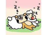 来週の予約状況 8/18-8/24