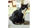 おはようございます。きょうも元気な笑顔で頑張りましょう。