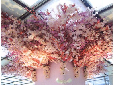 桜のディスプレイ飾りの用品専門サイトを開設