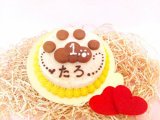 ◆ぷっくり肉球のバースデーケーキ◆犬用ケーキ猫用ケーキペット用ケーキ犬用バースデーケーキ無添加