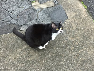 おはようございます。きょうもハッピースマイルで頑張りましょう。