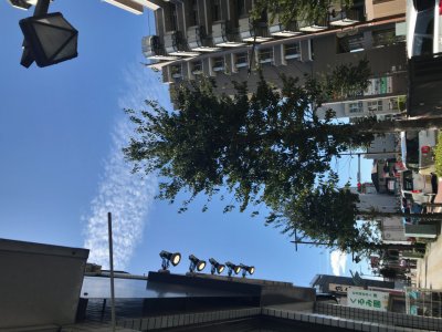 大黒屋鎌ヶ谷駅東口店