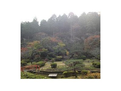 答えのなき世界へ
