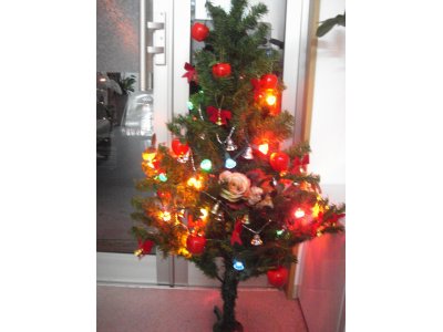 ☆Ｘ’ｍａｓツリー☆