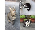 おはようございます。きょうも一日よろしくお願いいたします。