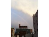 昨日、虹を見ましたか？