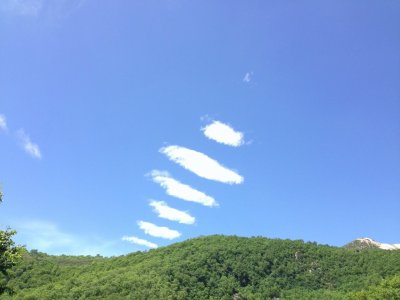 ネコアレルギー
