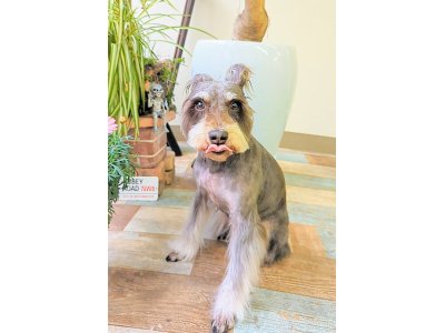 チェルシーちゃん